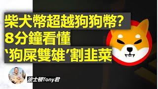 柴犬幣/屎幣SHIB 能超越狗狗幣嗎？ 8分鐘看懂‘狗屎雙雄’如何割韭菜，狗幣和動物幣Token炒作背後的操盤邏輯 | Shiba Coin VS Dogecoin Crypto Token Trap