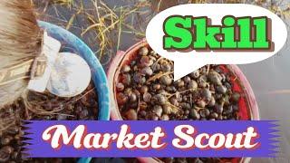 The Importance of " Market Scout " Skills in Business #food #farmer #art #family #business