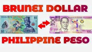 Brunei Dollar To Philippine Peso Exchange Rate Today | BND To PHP | Brunei Currency To Peso