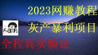 2023年无人值守自动赚钱项目 无任何风险 教你五分钟就可以赚到3000元实操视频