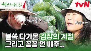 훌쩍 다가온 불로촌의 겨울 그러면 우리는 배추를 절여야지~ #유료광고포함 #웰컴투불로촌 EP.44 | tvN 241214 방송