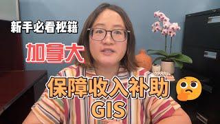 保障收入补助GIS 详解