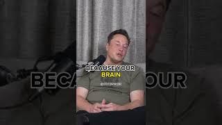 Elon Musk on How the Brain is Able to Remember Things!