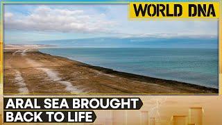 Kazakhstan: 'Once Severely Damaged' Part Of Aral Sea Has Nearly Doubled In Volume | World DNA | WION