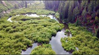 High Mountain Cutthroat Adventure