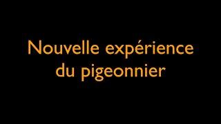 Nouvelle expérience du pigeonnier