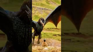 Daenerys's Dragon Is Hungry… | Got Game Of Thrones