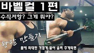 왕팔 만들기 이두근 운동 실전 바벨컬1편 (박승현TV)