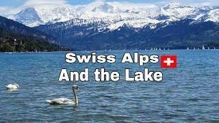 Swiss Alps Mountain and the Lake Thun