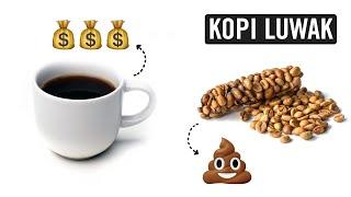 Kopi Luwak/Civet Poop Coffee: Disgusting or Delightful?