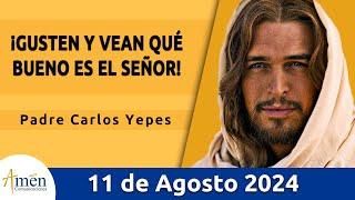 Evangelio De Hoy Domingo 11 Agosto 2024 l Padre Carlos Yepes l Biblia l San Juan 6, 41-51