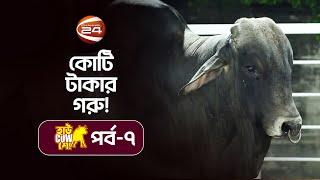 গরুর দাম কেন ১ কোটি টাকা! | Sadeeq Agro | হাউ Cow শো | পর্ব - ৭ | Channel 24