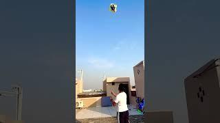 3 Tawa 🪁 #kiteflying #design #viral #kitedesign #subscribe #share #shorts #short #ytshorts #like