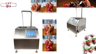 What does the LST Touch Screen 5.5L Chocolate Dispenser look like?