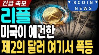 [리플 전망]미국이 예견한 제2의 달러 여기서 폭등