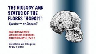 Boston University Dialogues in Biological Anthropology: The Flores Island “Hobbit” — Part 2