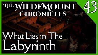 The Wildemount Chronicles | EP 43 | What Lies in The Labyrinth
