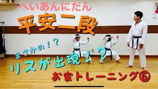 Home training :Heian Nidan お家で出来るトレーニング⑦：平安二段(へいあんにだん)