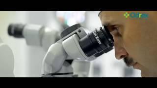 Медицинский дом Odrex: 5 лет для вашего здоровья