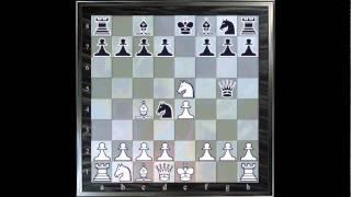 ChessMaster GME: Waitzkin J. Vs Arrnet D.