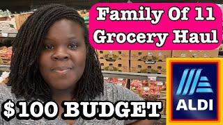 Grocery Shopping At ALDI: $100 Budget #aldi