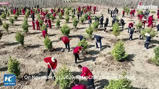 A glimpse of ecological park in China's Daqing Oilfield