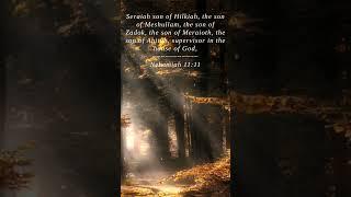 Bible | Nehemiah 11:11 | Seraiah son of Hilkiah the son...