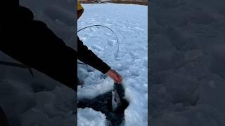 Ice Fishing Colorado 2024