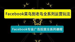 Facebook菜鸟到老鸟全系列运营玩法+Facebook专业广告投放全系列课程