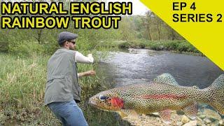 Englands Only Wild Rainbow Trout!: Chasing Scales Species Hunt (EPISODE 24)