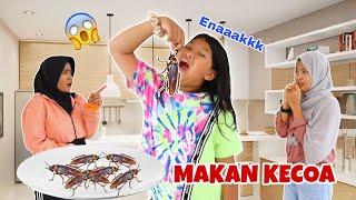 SEREM  CHIKA MAKAN KECOA | CHIKAKU CHANNEL