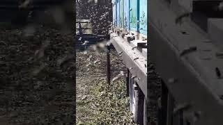 Весна на Кубани!!!
