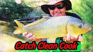 Creek FULL of YABBIES & HUGE FISH !!!! Free Camping area ( Catch Clean Cook )