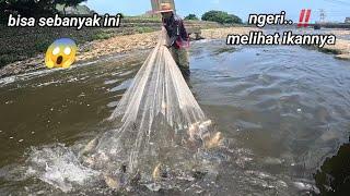 jala ikan di pinggiran sungai hasilnya puluhan kilo.. the best net fishing tilapia