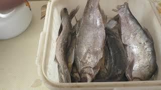 Вяленая рыба, Как правильно засолить, сколько вымачивать солёную рыбу, МоиРецепты#Плотва