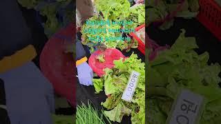 #시장인심#원주새벽시장#풍경 #농산물직거래 #장터 #제철 #farming #브이로그 #쇼츠 #shorts