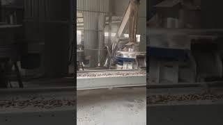 Ring die pellet machine wood pellet production line