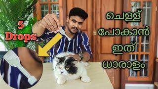 പൂച്ചയിലെ ചെള്ള് ഇനി എളുപ്പം കളയാം |  Spot On Treatment In Cats For Flea Problems In Cats Malayalam