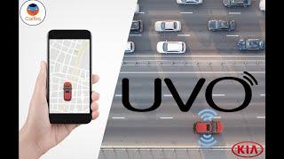 Kia Seltos UVO Connect App: Understanding Smart Car Features | Cartoq | Cartoqvideos