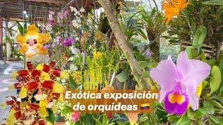 EXÓTICA EXPOSICIÓN DE ORQUÍDEAS 2024 