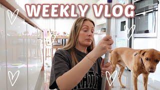 WEEKLY VLOG UK | IS IT FINALLY SUMMER?! ️ LOFT CONVERSION ENSUITE TOUR | Emma Nightingale