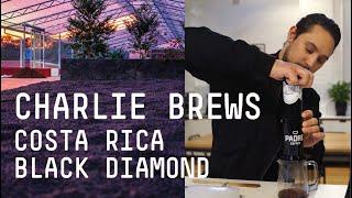 Charlie Brews Costa Rica Las Lajas Black Diamond I Padre Coffee