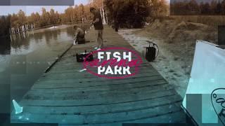 Fish Park Arena