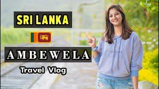 Ambewela | Sri Lanka | Sri Lanka Railway | Travel Vlog