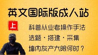 成人网站科普：英文国际版X站。揭秘从业者的操作运营秘籍，愈发严格的防火墙，出路在何方。