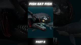 Fish eat Fish | Comparison | 3D Real Scale | 3D Comparison | 3D Animation