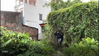 SHOCK Transformation | Terrifying Abandoned House Revealed as I Cleanup Overgrown Weeds