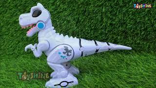 Toyshine Musical Dancing Dinosaur Baby Toy, Electric Dancing and Singing Toys Review (61)
