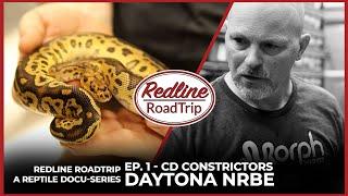 A Reptile Documentary Series: REDLINE ROADTRIP | Daytona NRBE | CD Constrictors