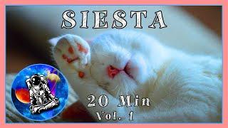 SIESTA | DORMIR 20 minutos y DESCANSAR 8 horas | Ondas Delta